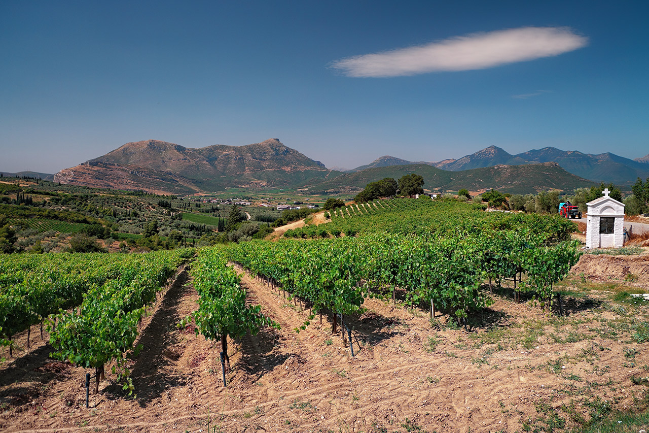 Farm to table experience in Greece with fertile fields and rural landscapes, inspired by Demeter’s harvest and authentic culinary journeys