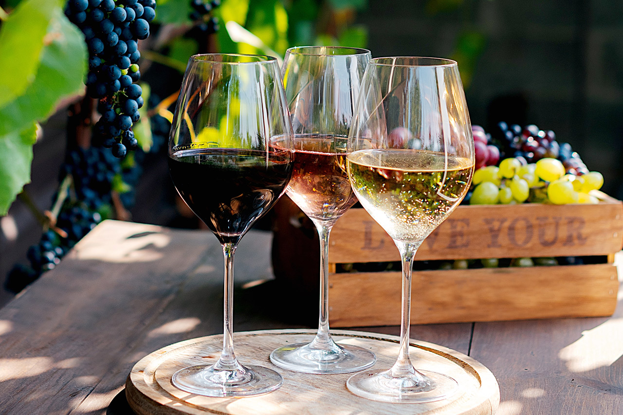Wine tasting in Nemea Greece with elegant red wine, vineyard views and a soulful culinary journey inspired by Demeter
